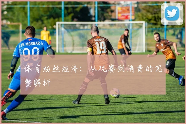 体育粉丝经济：从观赛到消费的完整解析