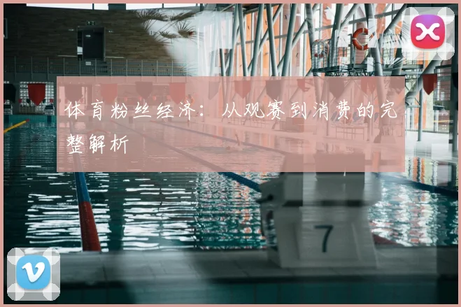 体育粉丝经济：从观赛到消费的完整解析